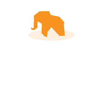 象